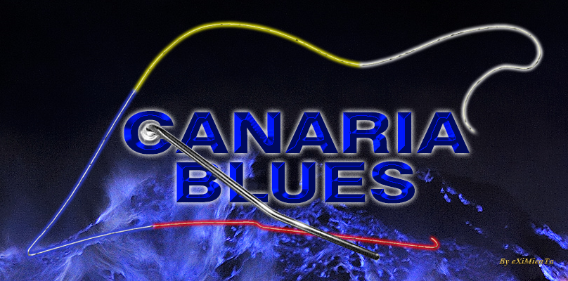 CANARIA BLUES [e-Netv ON AIR!]