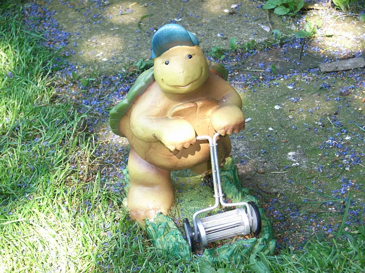 rencontre avec joe black wikipedia