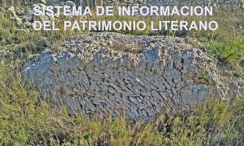SISTEMA DE INFORMACION DEL PATRIMONIO LITERANO