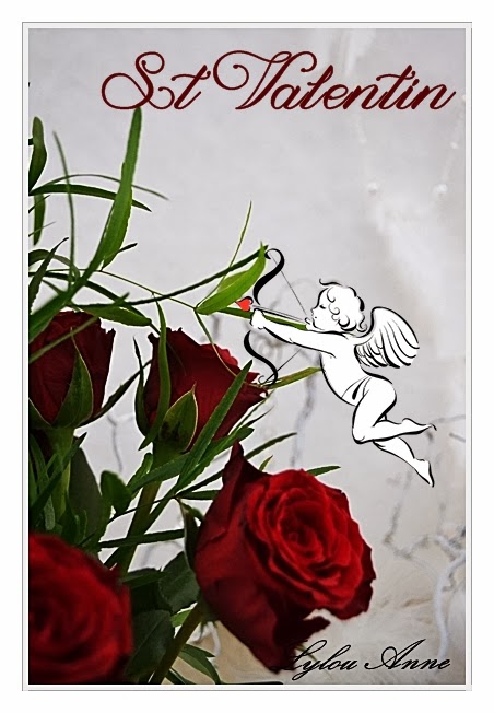 Sim Brico Jardin Fleur Passion