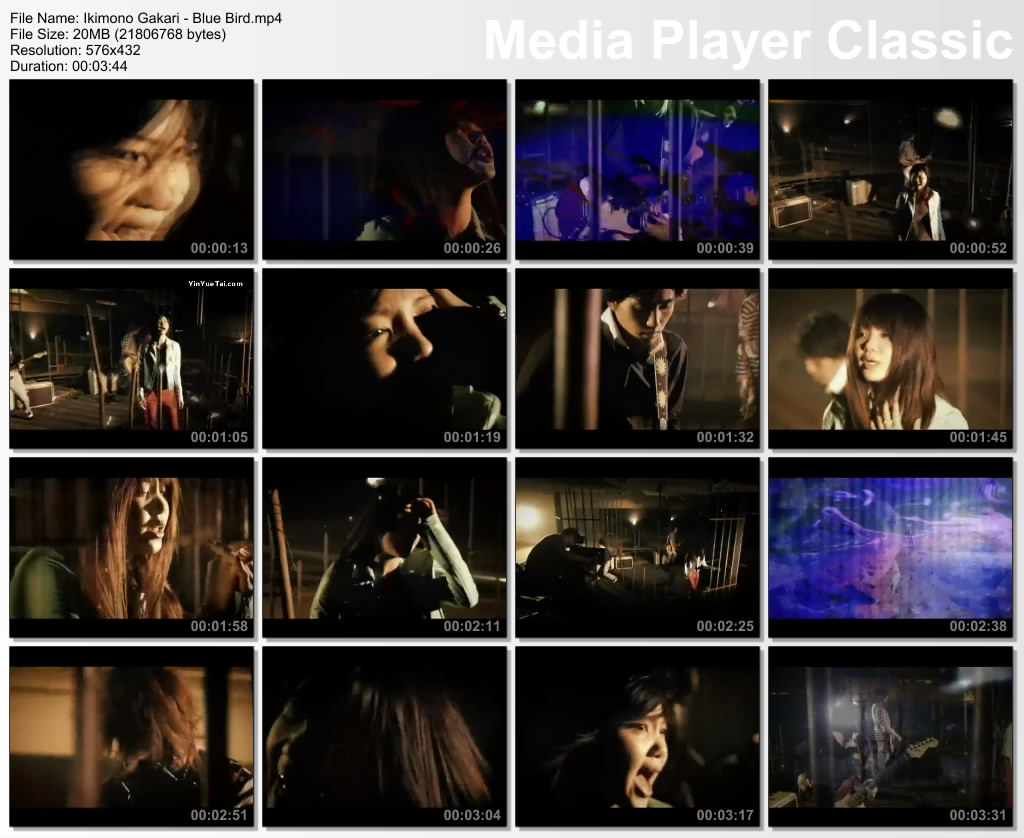Download Lagu Ikimono Gakari Blue Bird Versi Indonesia Download Lagu Ikimono Gakari Blue Bird Versi Indonesia