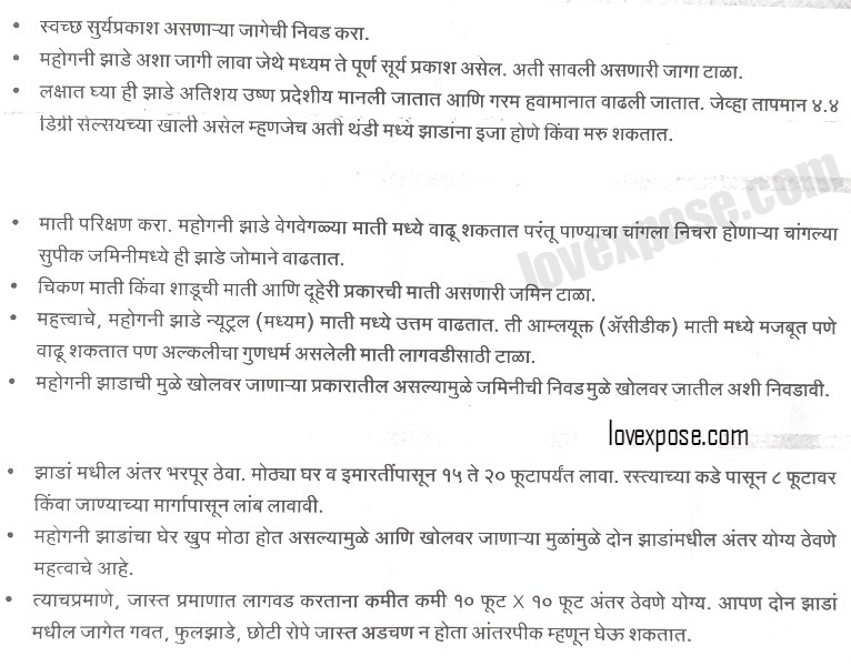 marathi essay about if the trees will be destroyed Free essays on essay in marathi language on save trees save life on in my rainy picnic essay in marathi, easy essay on education for all how to write a they will develop a great customized paper tailored especially to meet your needs and demands it will not waste your time a heart touching and a wonderful essay on saving trees-a globe. marathi essay about if the trees will be destroyed Free essays on essay in marathi language on save trees save life on in my rainy picnic essay in marathi, easy essay on education for all how to write a they will develop a great customized paper tailored especially to meet your needs and demands it will not waste your time a heart touching and a wonderful essay on saving trees-a globe.