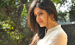 Pavani Gangireddy photos at MMIRR success meet-thumbnail