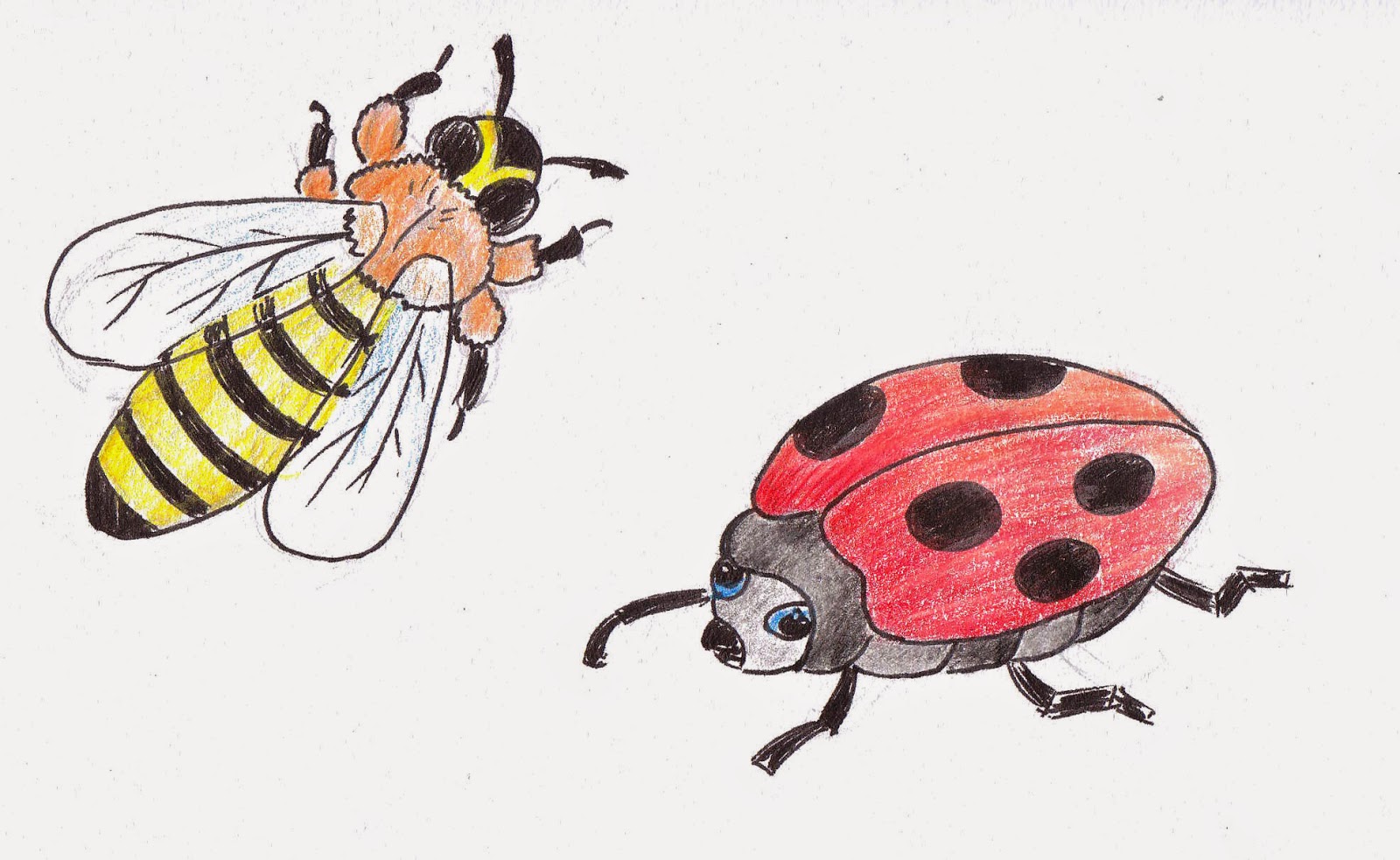 Best How To Draw Insects And Bugs of all time Learn more here 