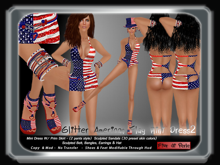 American-flag-vendor-Mini2.png