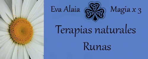 EVA ALAIA MAGIAX3