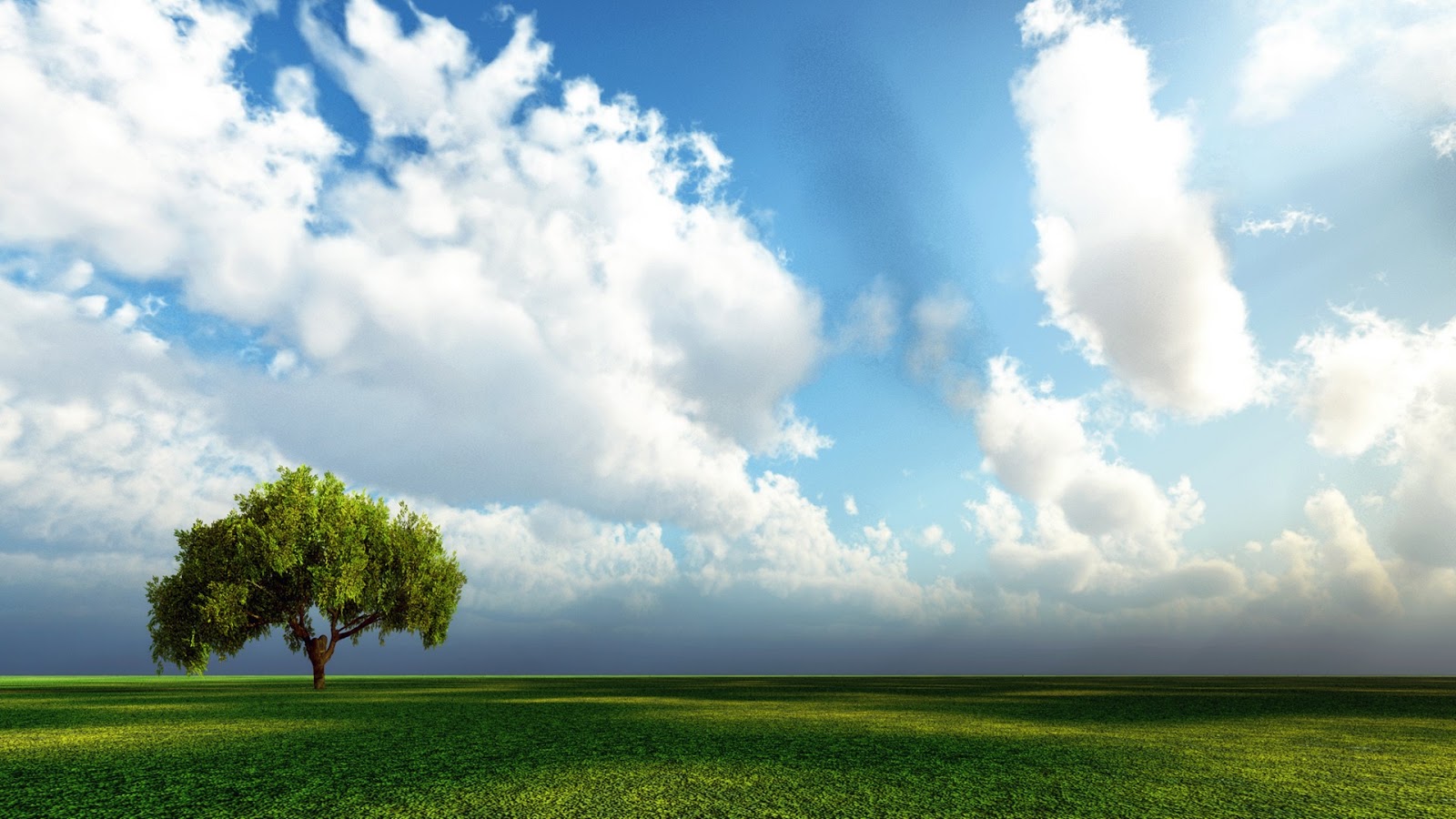 3D Nature Wallpaper 3D Nature Wallpaper