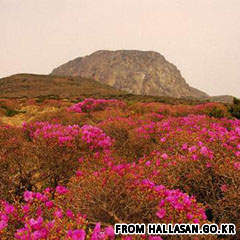 Hallasan Mountain