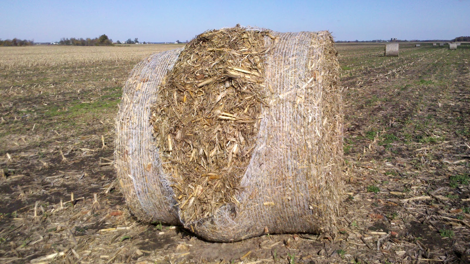 Observations in Agriculture Baled Stalks