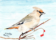 Waxwing