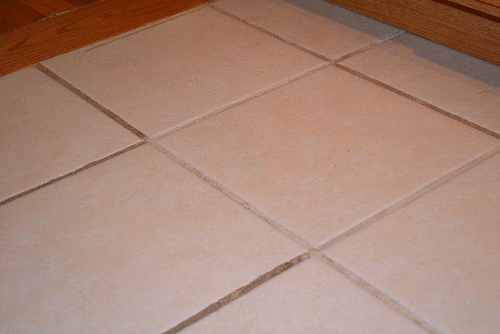 Snippets of Wonderful {grout cleaning)