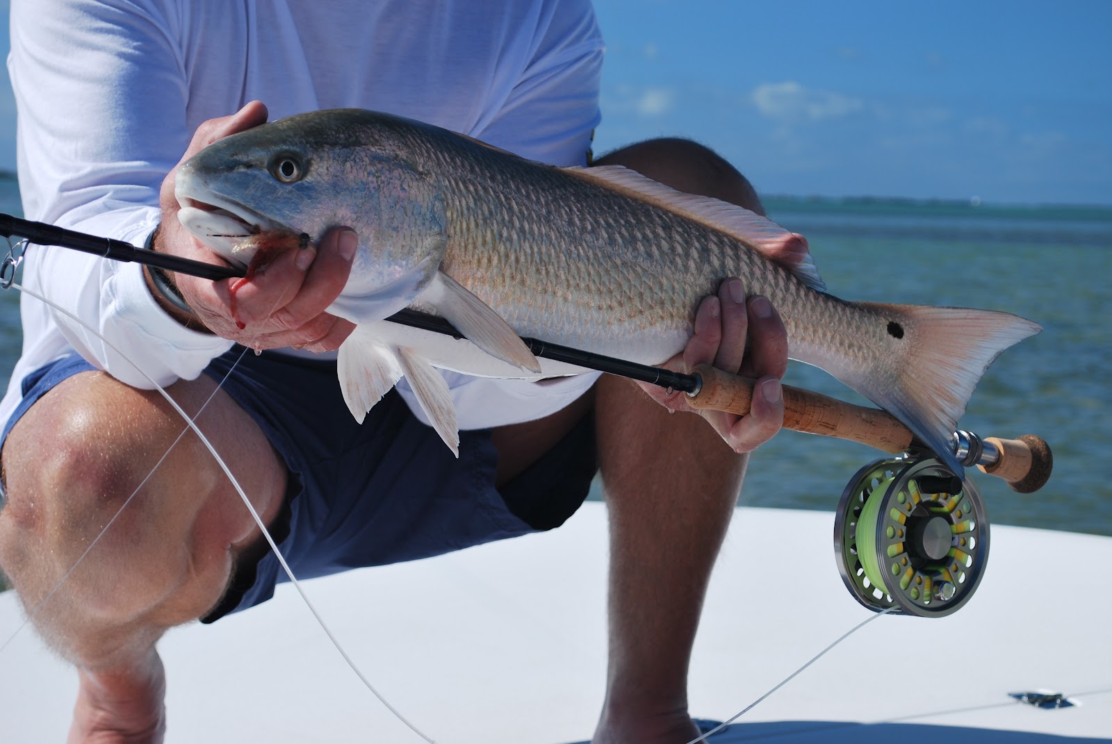 The Key West Flats Angler Redfish on Fly in Key West