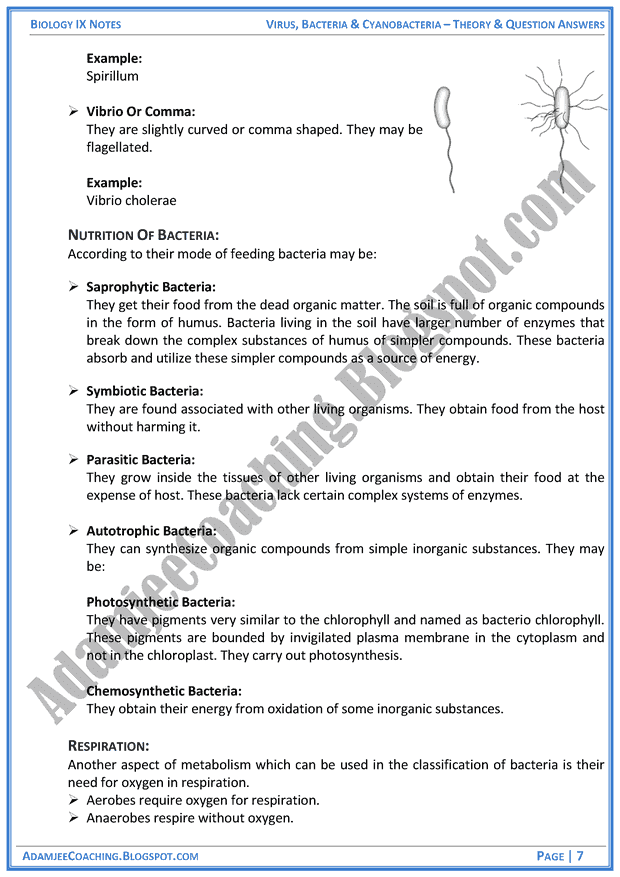 virus-bacteria-and-cyanobacteria-theory-notes-and-question-answers-biology-notes-for-class-9th