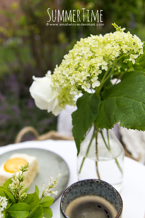 Amalie loves Denmark Zitronenkuchen aus der LIVING AT HOME Amalie loves Denmark Zitronenkuchen aus der LIVING AT HOME