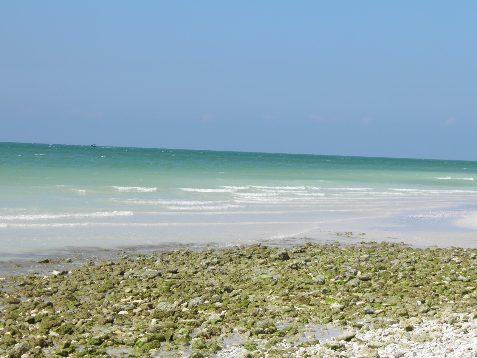 Honeymoon Island Ferry Hours