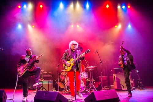 Young Fresh Fellows Discography at Discogs