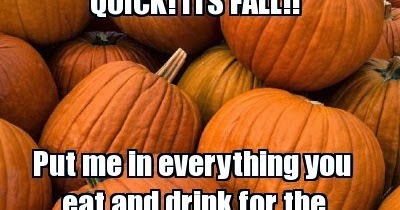 meme tell me bumpkin why you need meme tell me bumpkin why you need