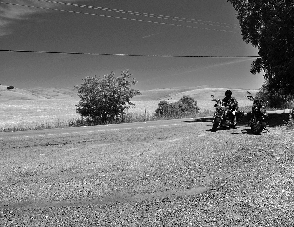 Pseudocognitive Chasing the Zodiac, Part II The anniversary of the