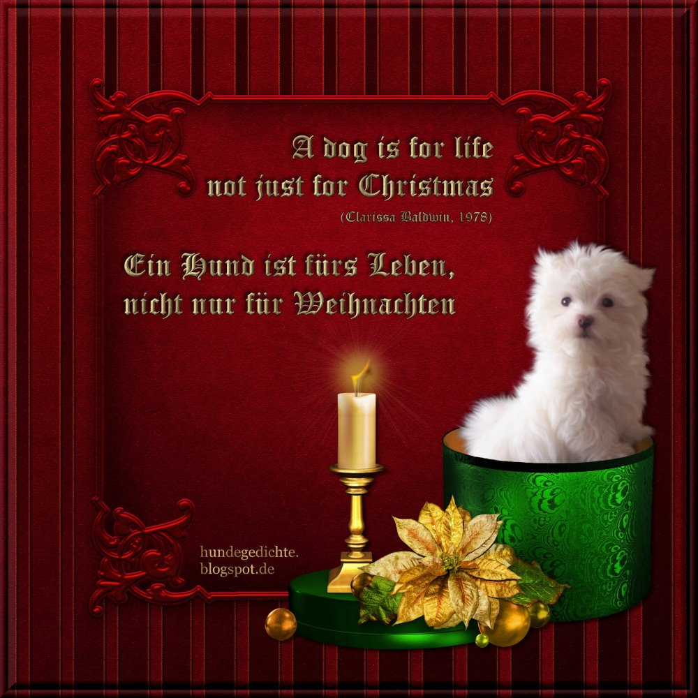 Hundegedichte Mehr Dog Poems More Weihnachten Christmas