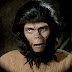 JACQUELINE SCOTT ON PLANET OF THE APES