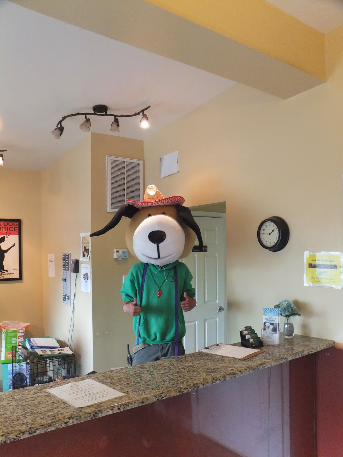 Woodbridge VA Doggie Daycare Cinco de Mayo Celebration