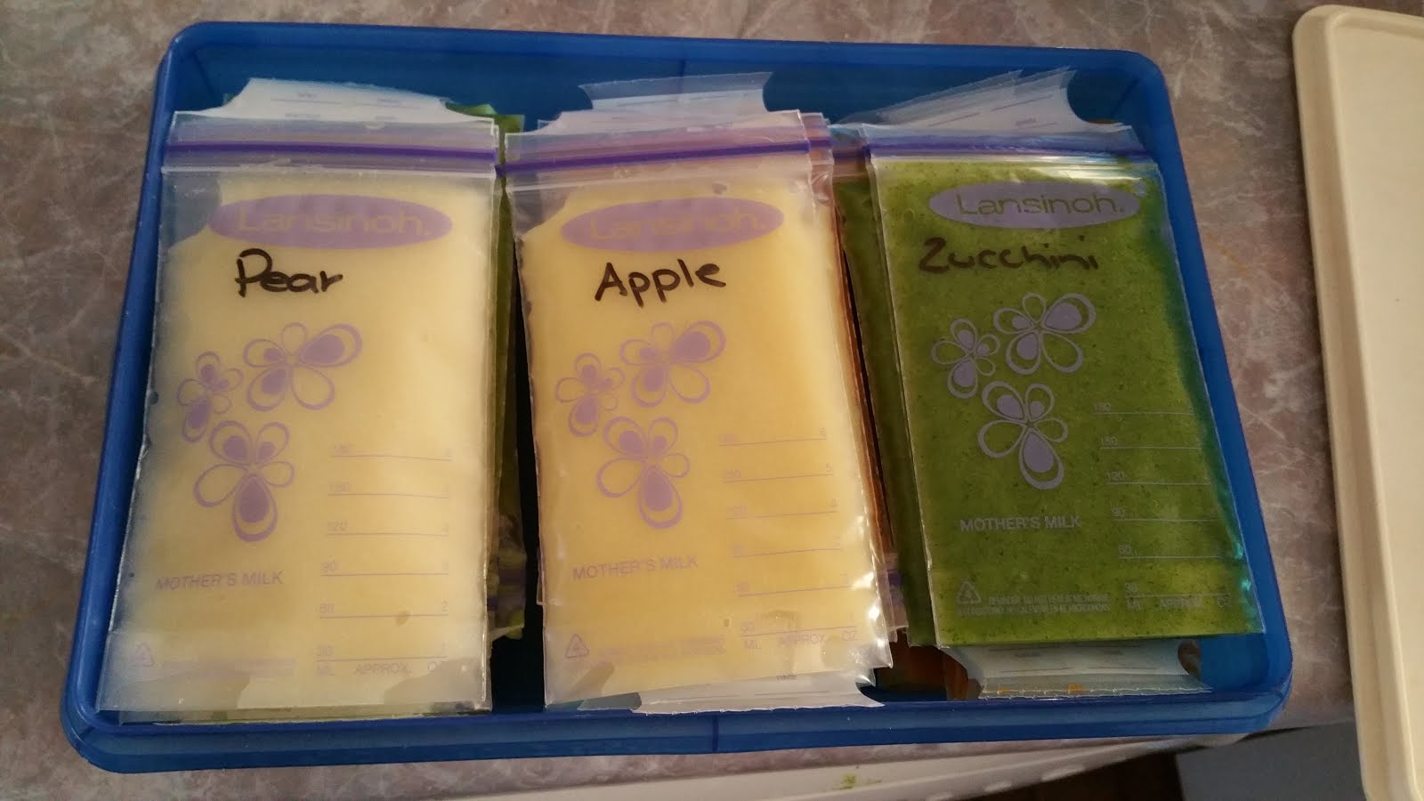Living Organised Preparing and Storing Baby Food
