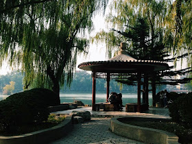 Hong Kong Here I Come November 2014