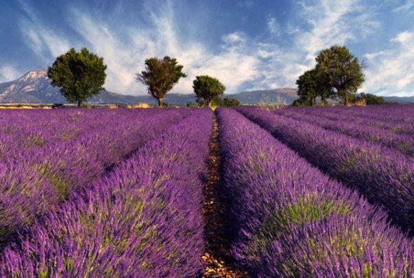 Красивые места Provence