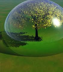 Environment & Economic Growth