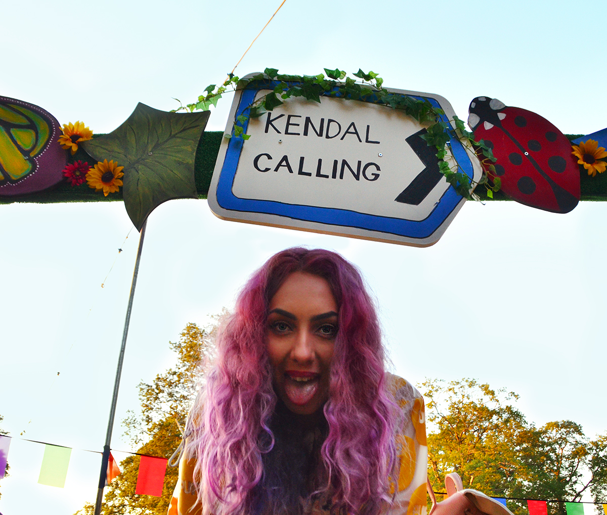 Kendal Calling with Stephi LaReine Festival Blogger