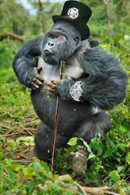 Henry County Community News Blog June 2013