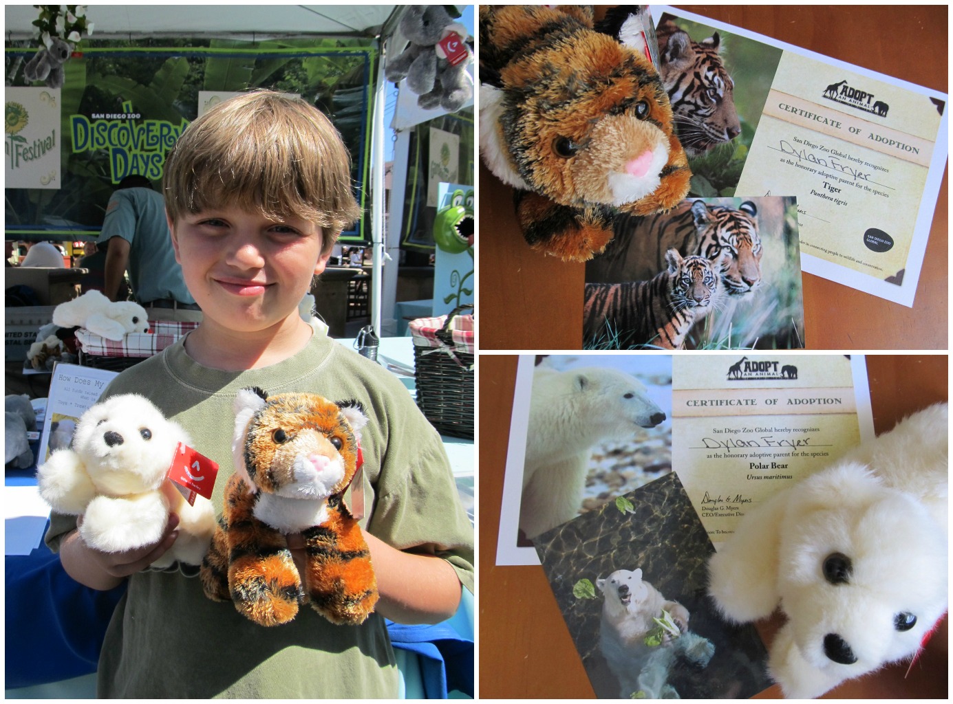 Life with Dylan Animal Adoptions