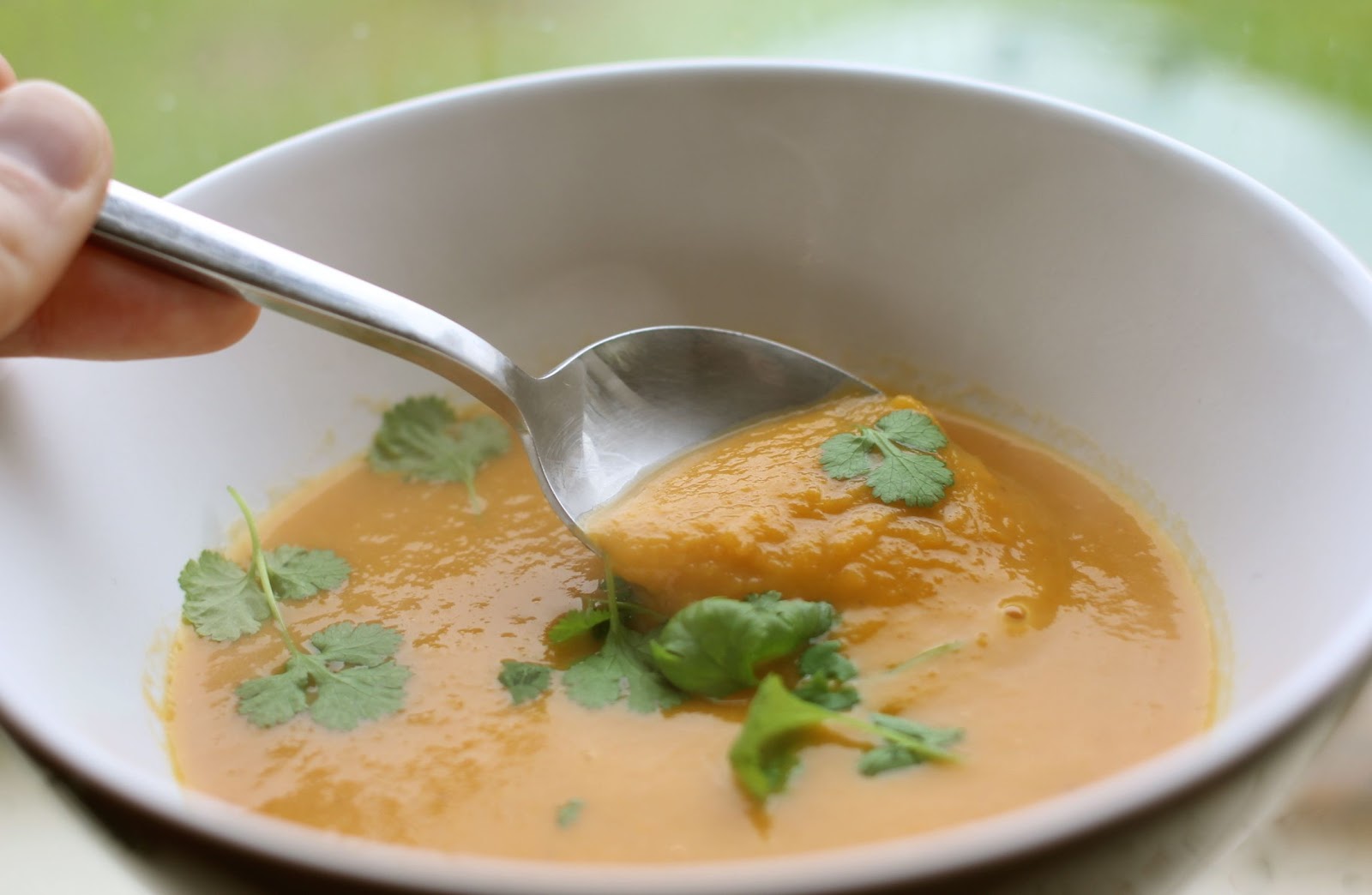 mamacook Carrot, Ginger and Pumpkin Soup
