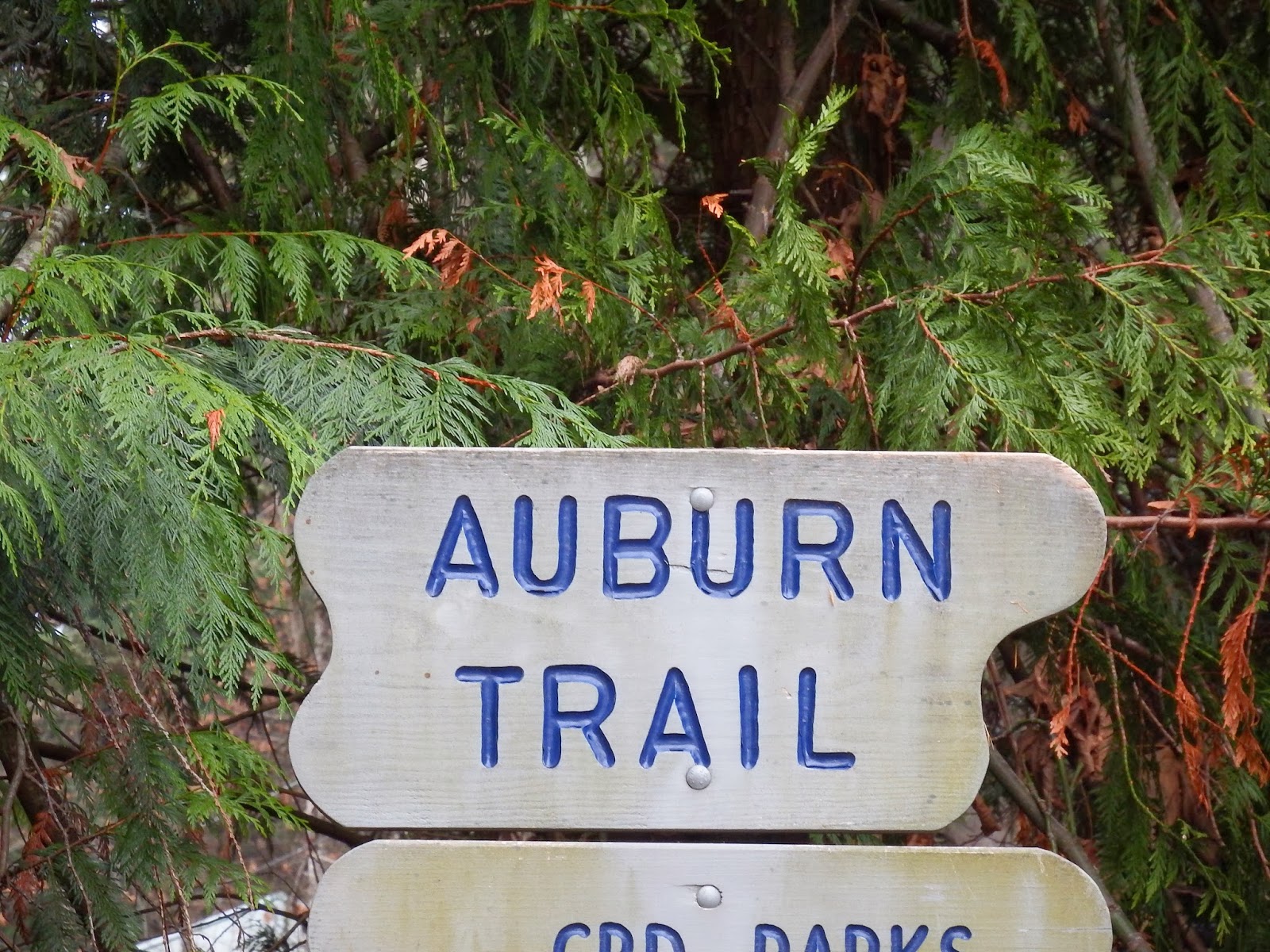 Wheelstogogo Travel Tales. Remembrance Day & A Hike up Mill Hill