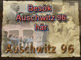 Auschwitz 96