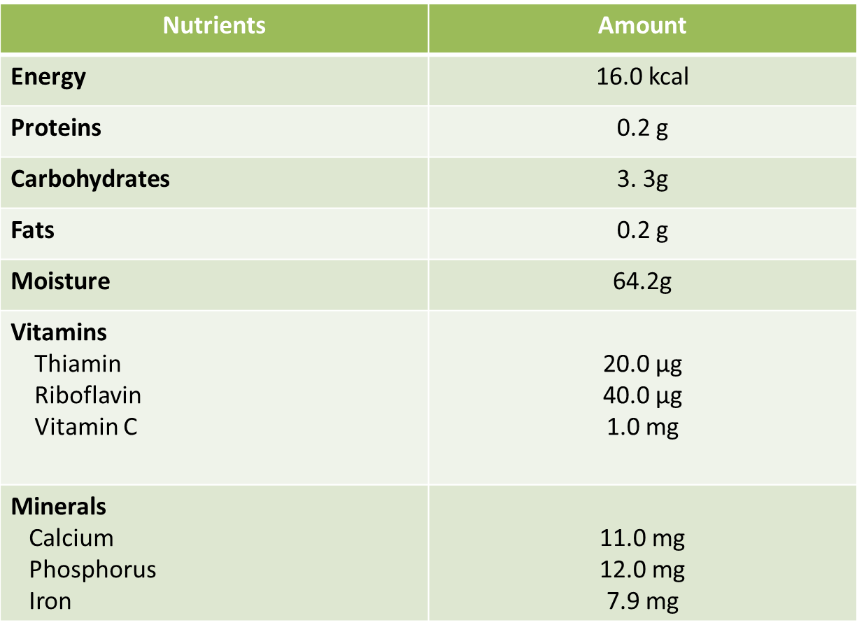 Water Melon Food Magazine