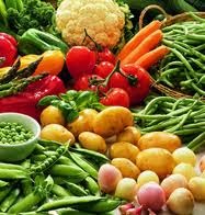 mielina alimentos en busca de mi yo interior gu 205 a nutricional para mielina alimentos en busca de mi yo interior gu 205 a nutricional para