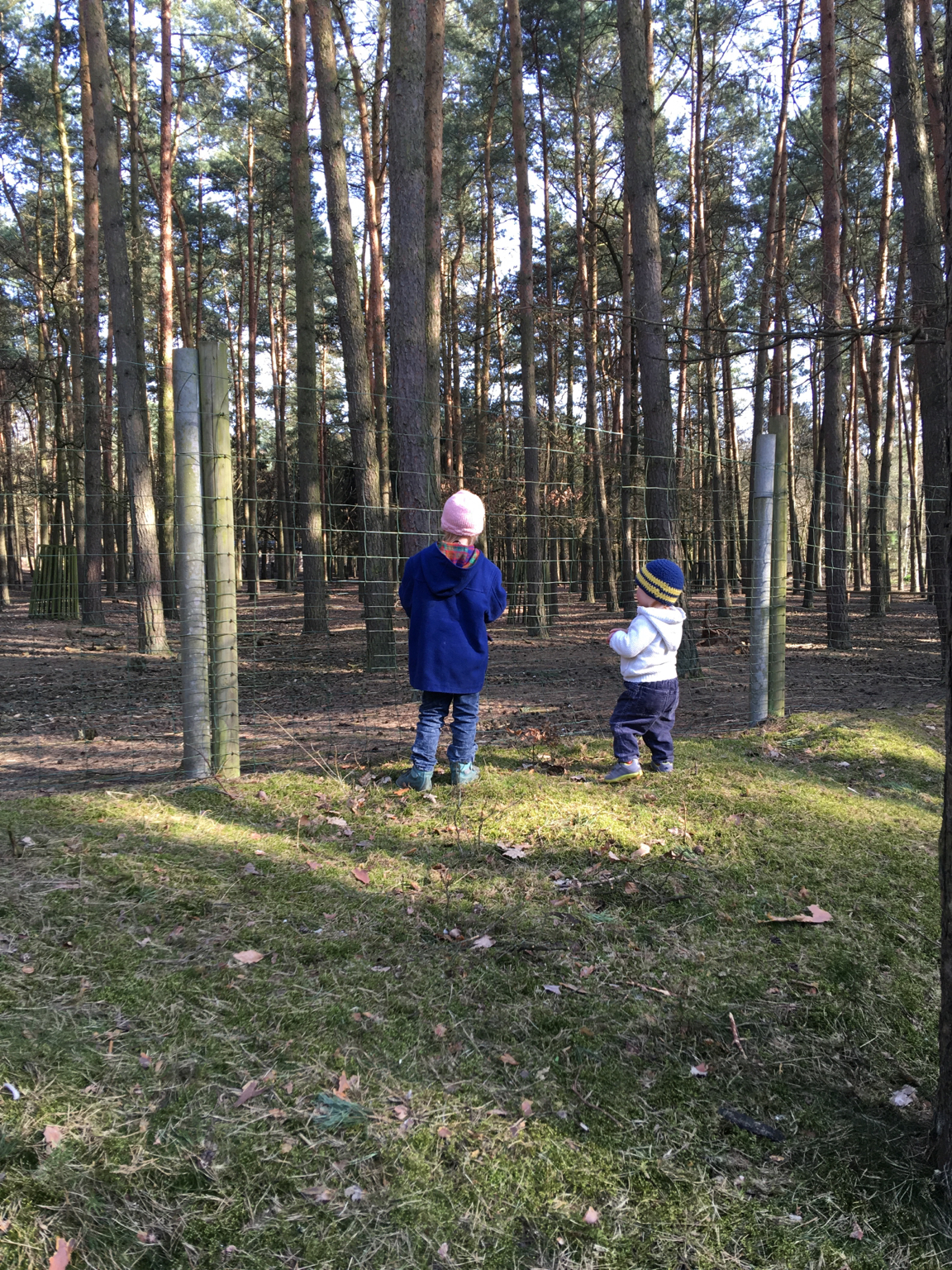 Bernau Ferien Tipps Fur Die Kleinen