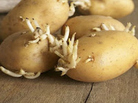 5 Makanan Mematikan yang Ada di Dapur Anda, Semua wajib baca 5 Makanan Mematikan yang Ada di Dapur Anda, Semua wajib baca