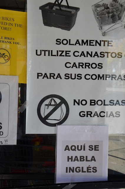 te regalo una rosa la encontre en el camino poema