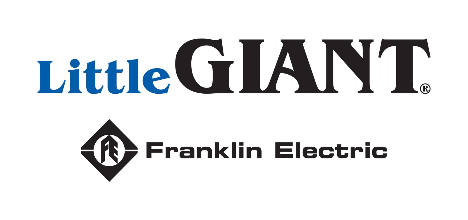 A Closer Look At Little Giant