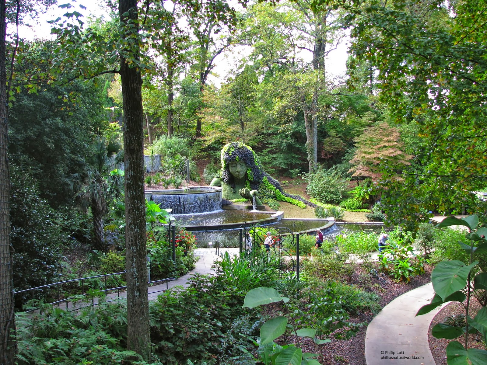 Phillip S Natural World 1 0 3 Halloween In The Atlanta Botanical