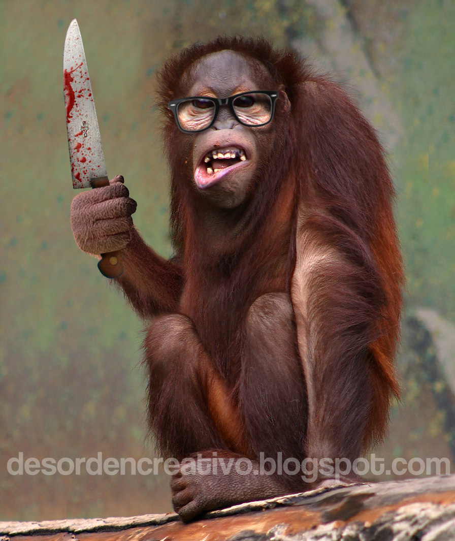 orangutan+knife