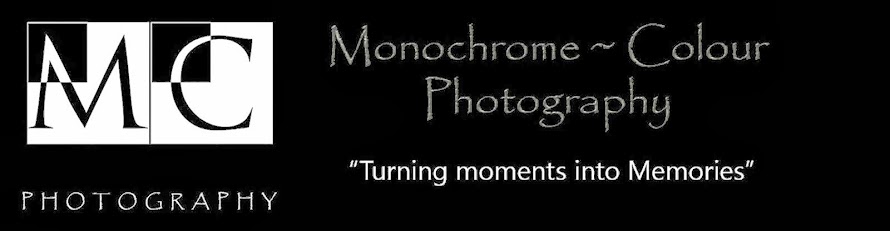 Monochrome Colour Photography