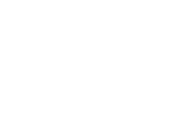 Duel Beasts