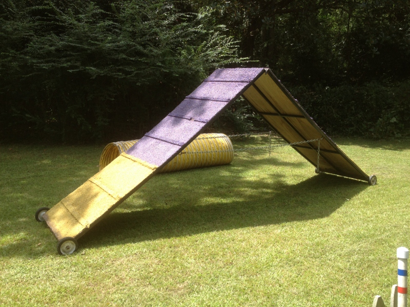 Michele Fry's Agility Dogs Training and Competition My New AFrame