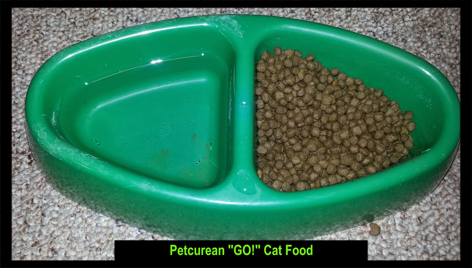 Petcurean Go Cat Food Review Freesocial2011