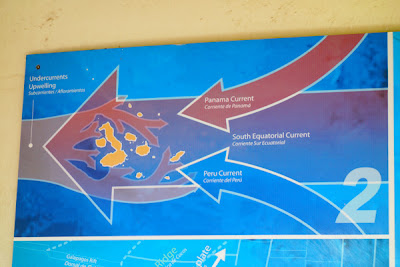 ocean currents galapagos