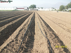 Rancho productivo