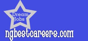 Ng Best Careers. Blogspot. Com.ng: Online Jobs in Nigeria